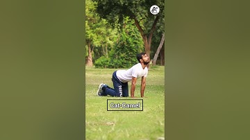 Cat - Camel . Back Mobility . All Fit Club