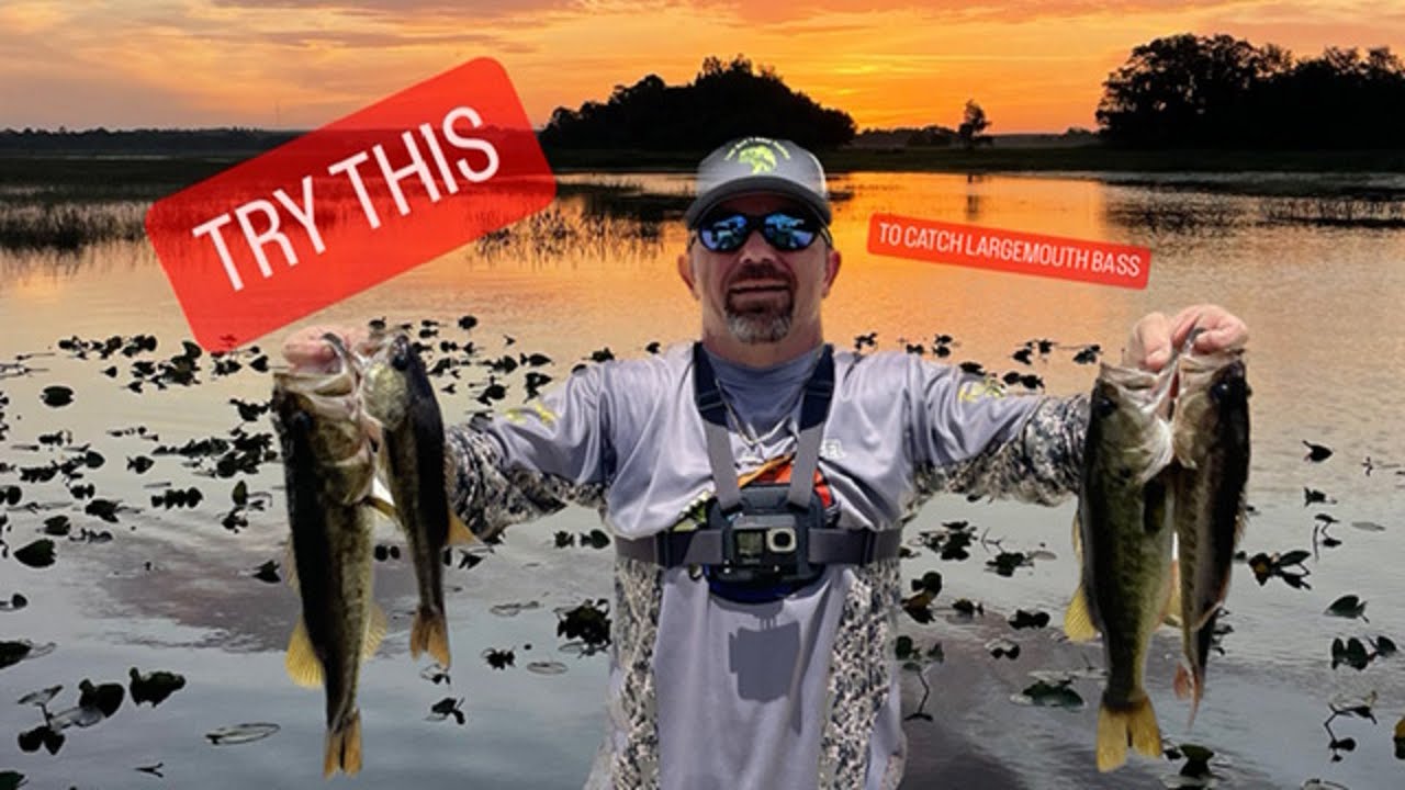 How to Catch LARGEMOUTH BASS on Crooked Lake in Frostproof, FL.