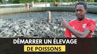 Voici 11 étapes CAPITALES pour DÉMARRER un ÉLEVAGE de POISSONS à SUCCÈS en AFRIQUE - Découvrez Les