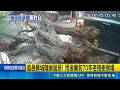首邑縣城隍爺誕辰! 雨後廟前70年老榕樹倒塌 東琉線變身海盜船 業者:估5號午後風雨暫歇｜三立新聞LIVE