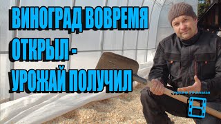 видео: КОГДА ОТКРЫВАТЬ ВИНОГРАД ВЕСНОЙ В ТЕПЛИЦЕ? ОШИБКИ ПРИ ОТКРЫТИИ ВИНОГРАДА. ВИНОГРАД В ТЕПЛИЦЕ картинка: КОГДА ОТКРЫВАТЬ ВИНОГРАД ВЕСНОЙ В ТЕПЛИЦЕ? ОШИБКИ ПРИ ОТКРЫТИИ ВИНОГРАДА. ВИНОГРАД В ТЕПЛИЦЕ
