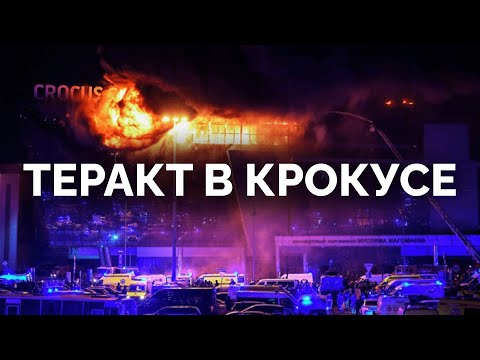 Хронология нападения на крокус