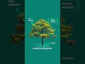 What's a Nature-Based Solution? | We're Glad You Asked