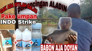 Pemancingan ALADIN Parung || Ikan galau pun tetap panen || pake Umpan indo strike