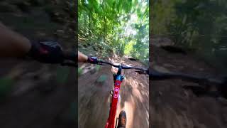Mountain Bike Downhill Trek Slash #mtb #adrenalina #parquenacionaldatijuca #downhill #pedal #shorts