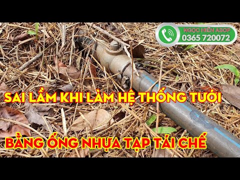 Sai lầm khi