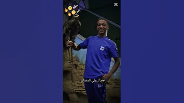 كابونجا سمع كلاب بتعوي هوهو فاضيه 