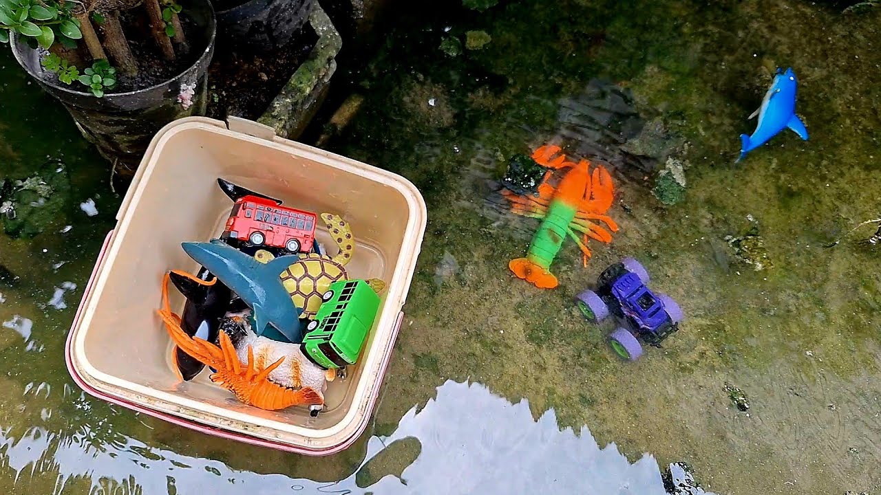 Hunting mainan hanyut mengambang berserakan di banjiran