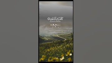 سورة القارعة #القرآن_الكريم #اكسبلور #holyquran #دويتو #المصحف #القرآن #حالات_واتس