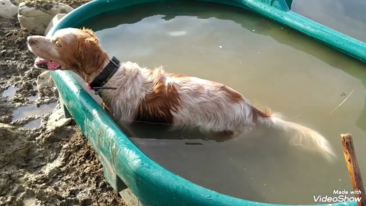 Allenamento pre apertura con PRINCE