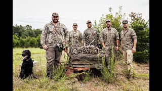 Dove Hunting: We Shot So Many Birds! screenshot 2
