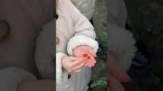 Minik Domates Topladık