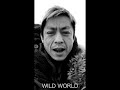 WILD WORLD カバー