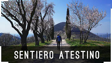 Dove andare a camminare sui Colli Euganei?