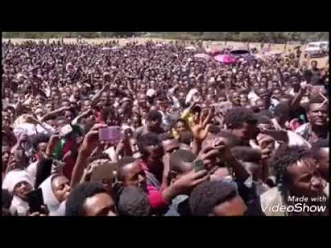 Umar Suleyman Oromo Music 2018