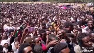 Umar suleyman oromo music 2018