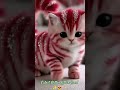 #CuteCat #GlitterCat #ViralShorts #CatShorts #trendingshort #YouTubeShorts