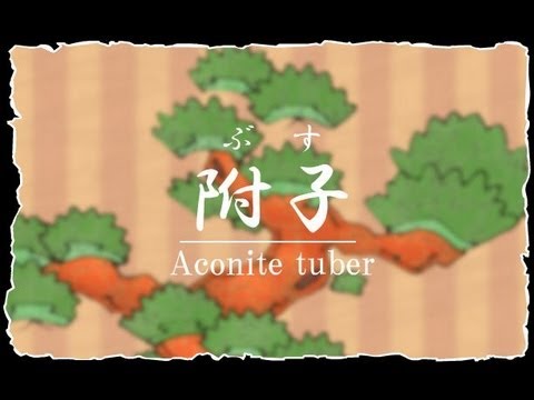 動く絵本 附子 ぶす Aconite Tuber Youtube