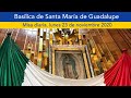 Misa en vivo Basílica de Guadalupe, México. Lunes 23/noviembre/2020 9:00 hrs.