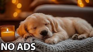 12 Hours Relax My Dog ๐ผ Dog Calming Music & Dog Healing Sounds For Peaceful Comfort And Serenity 12 Hours Relax My Dog ๐ผ Dog Calming Music & Dog Healing Sounds For Peaceful Comfort And Serenity