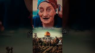 funny automobile meme explore فلسطين رمضان كريم 2023