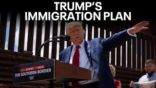Trump immigration plan could negatively impact economy