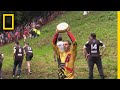 Watch a Downhill Cheese-Chasing Competition in Britain | National Geographic