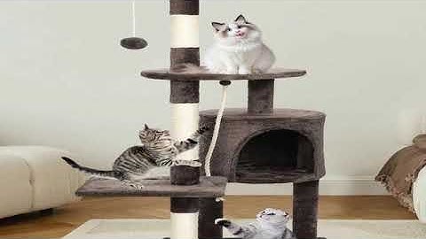 A must-have product! Passerscat Cat Trees Cat Climbing Frame For Indoor Cats Multi-Level With Scra