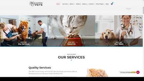 United Pets - Pet Shop and Veterinary WordPress Theme shelter woocommerce Sakaguchi