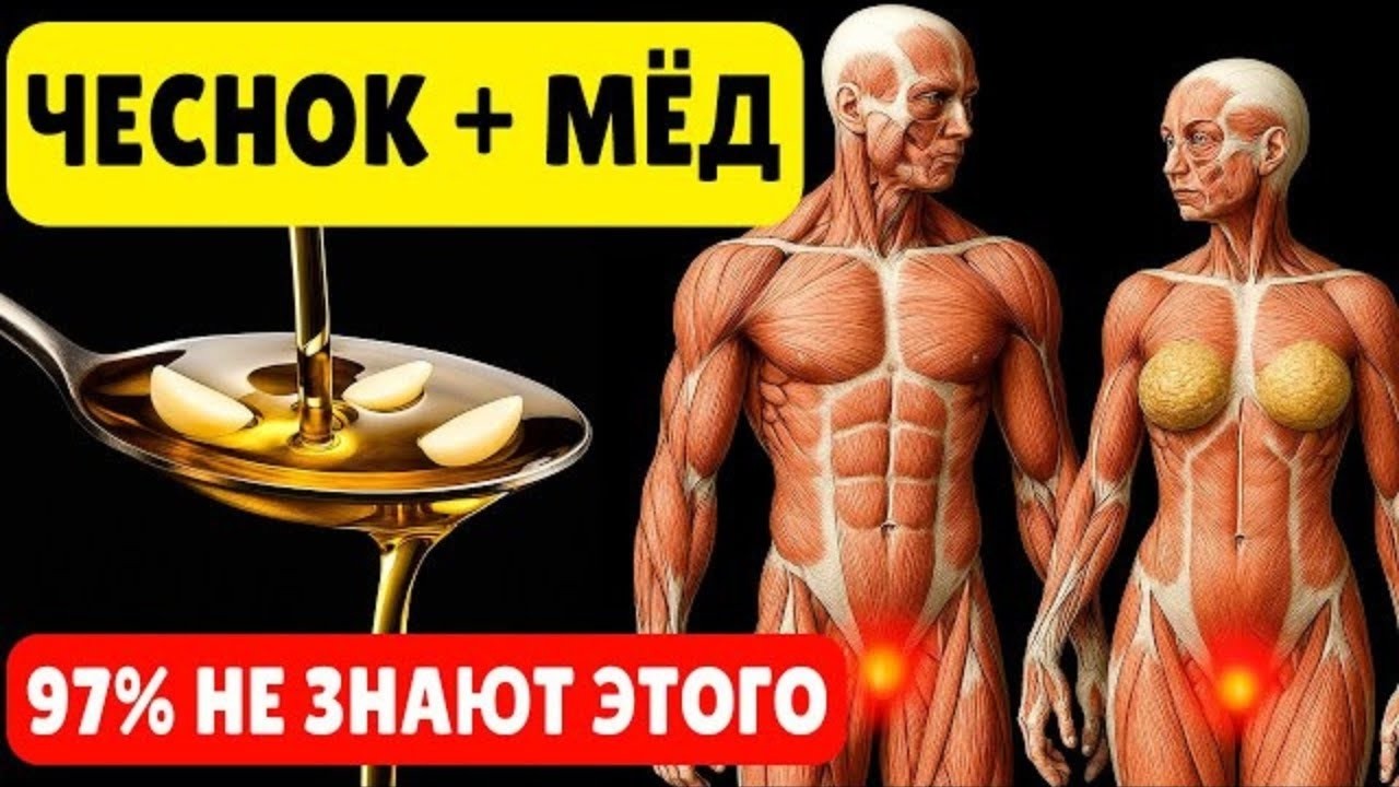 Пил чеснок с мёдом по утрам. Вот как изменилось моё тело