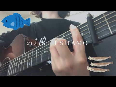 ねぇ/SHISHAMOを風呂上がりに弾き語りした