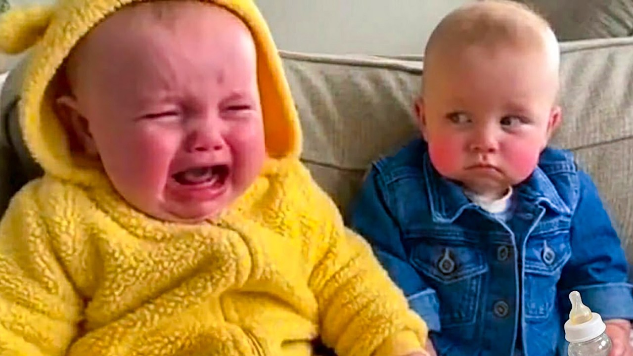 The Hilarious & Cutest Babies And Siblings Moments - Funny Baby Video || Little Boss