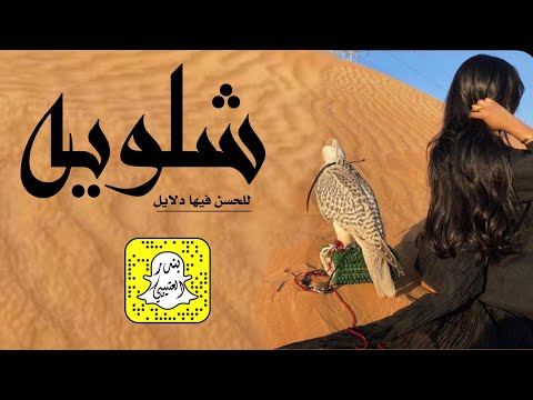 شلويه للحسن فيها دلايل 2023 حصريا