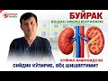БУЙРАК КАСАЛЛИГИНИ ҚАНДАЙ ЭРТА БИЛИШ МУМКИН? ЭЪТИБОР БЕРИШ КЕРАК БЎЛГАН БЕЛГИЛАР