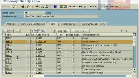 Browse-SAP-database-Tables-avi.mp4