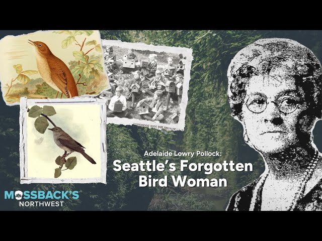 The Pioneering Teacher Who Became Seattle's Bird Lady | Mossback's Northwest class=