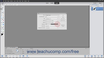 Photoshop Elements 2020 Tutorial Creating New Images Adobe Training
