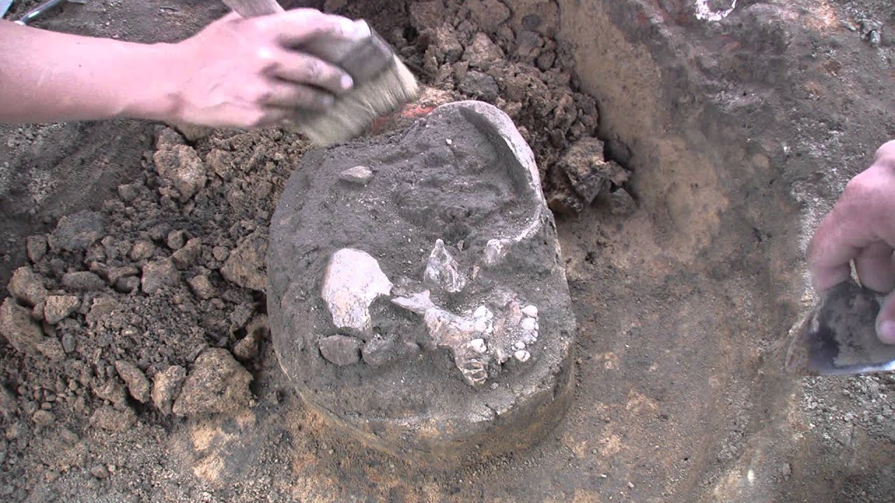 Archaeologists discover the first physical evidence of survival