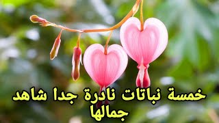 خمسة نباتات نادرة انت محظوظ ان إمتلكتها