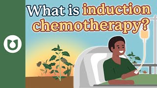 What is induction chemotherapy? #AML