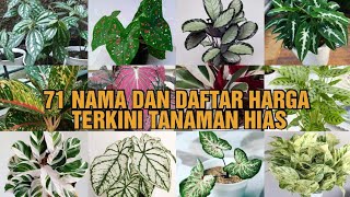 71 TANAMAN HIAS || HARGA& JENISNYA || KOLEKSI TANAMAN HIAS ||KISARAN DARI YG TERENDAH & HARGA ANAKAN