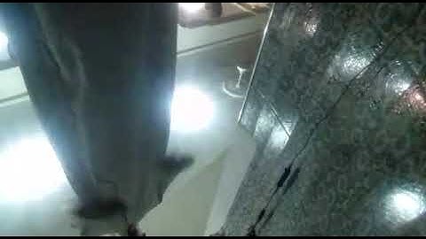 القارئ ايوب