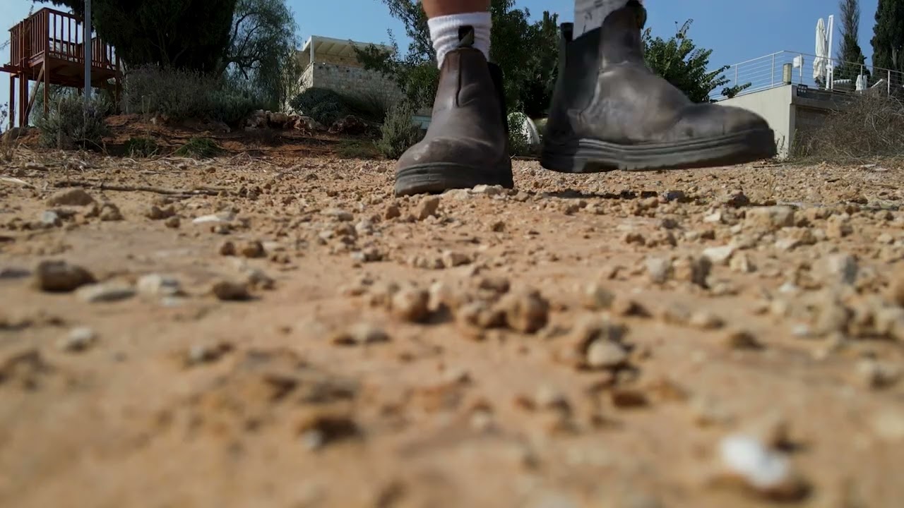 שדה ורבורג
