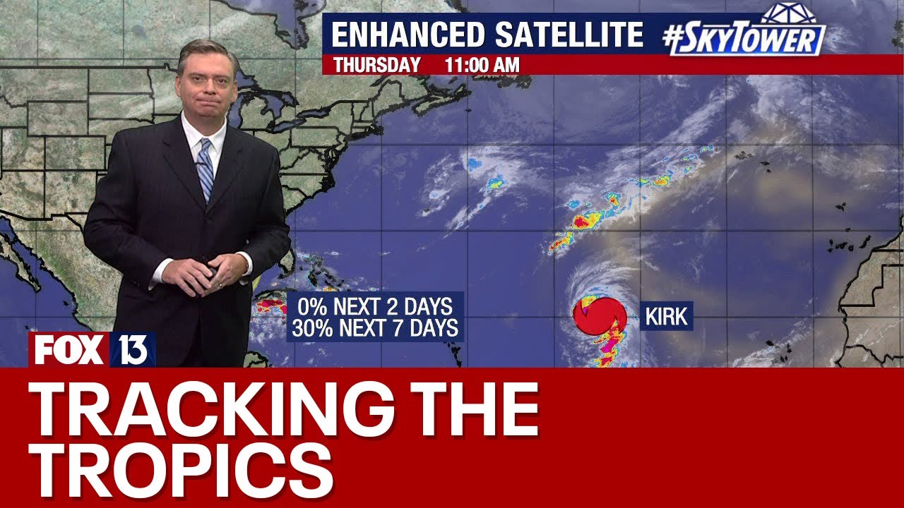 Tropical disturbance in Gulf likely bringing heavy rain to Florida ...