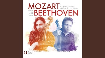 Duo for Clarinet & Bassoon in C Major, WoO 27 No. 1 (Arr. F. Hermann for Violin & Cello) : I....