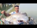 Barramundi fishing  catch barramundi fish ko kese pakde