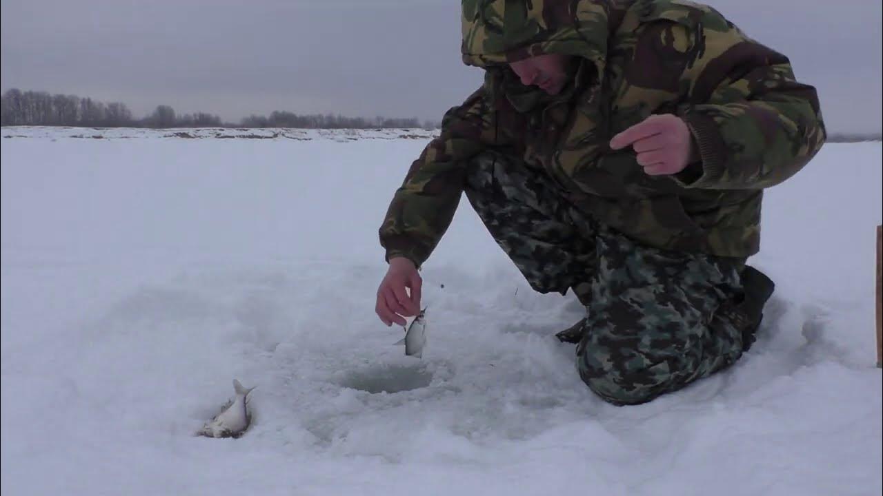 Зимние рыбалка 20 20. Зимняя рыбалка на Оке. Рыбалка в феврале 2021. Февраль глухозимье.