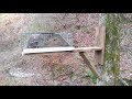 Trapping tip for squirrels Trapping tip for squirrels