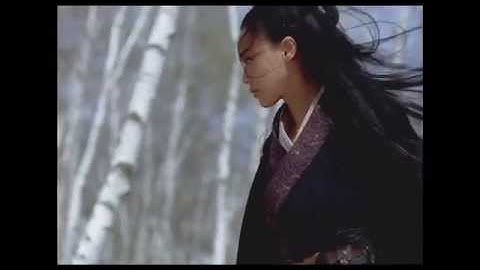 映画『黒衣の刺客』30秒予告編