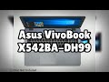 Photos of the asus vivobook x542badh99  not a review